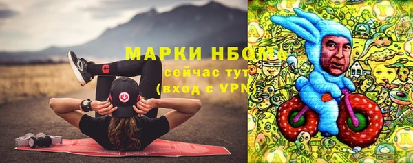 стаф Пестово