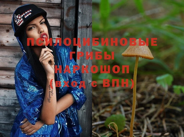 стаф Пестово