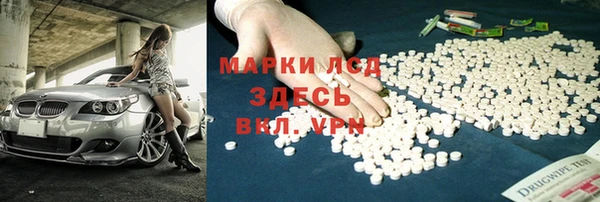 стаф Пестово